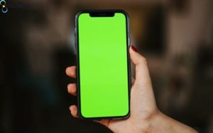 Nguyên nhân iPhone 14 Pro Max bị lỗi màn hình xanh