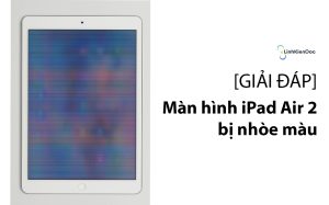 màn hình ipad air 2 bị nhòe màu